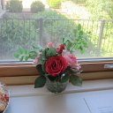 roses on window sill